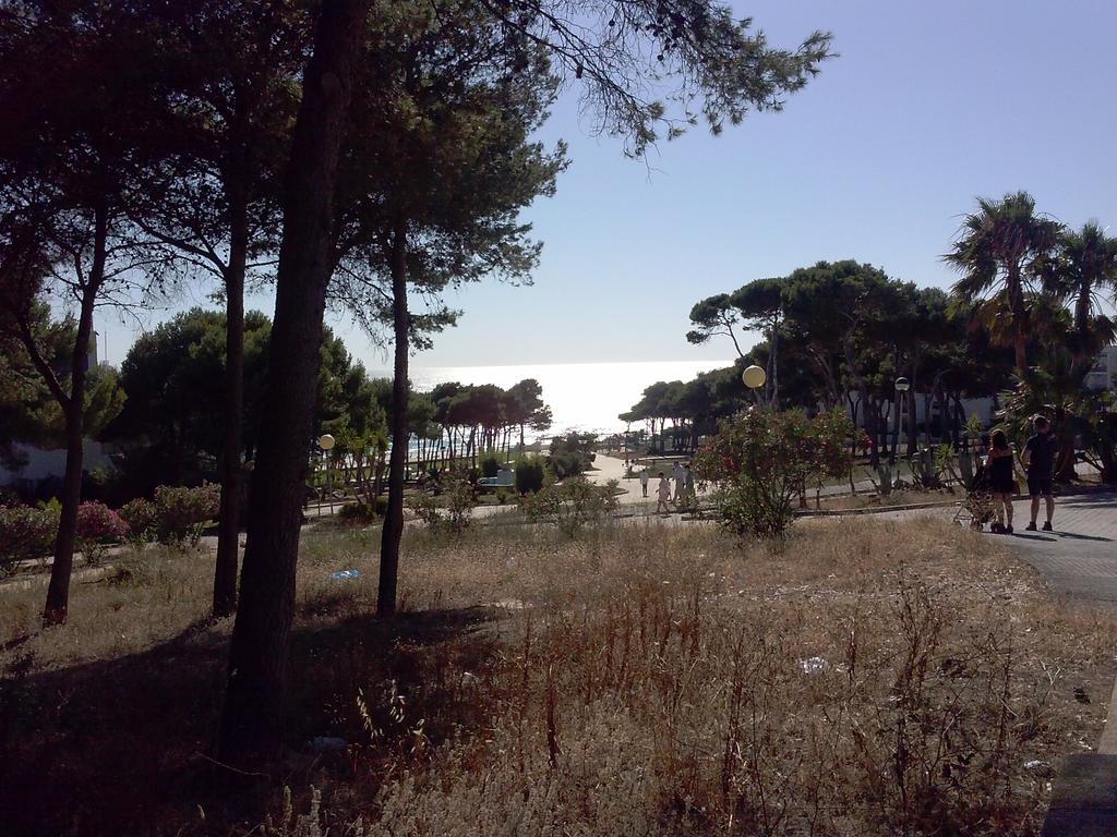 La Rotonda C-116 Apartamento Conil De La Frontera